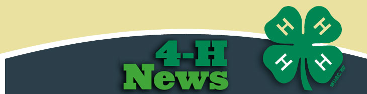 mass4h-newsletter-header_0