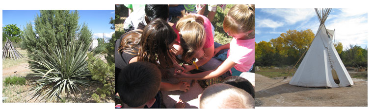 Plants, activities, and structures at the Ute Learning Garden